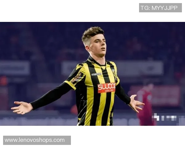 海牙与维迪斯对决前瞻分析及比赛结果预测解析