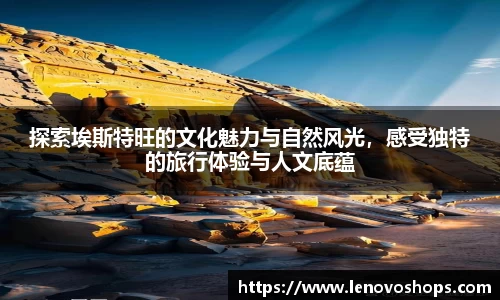 PP电子手机下载